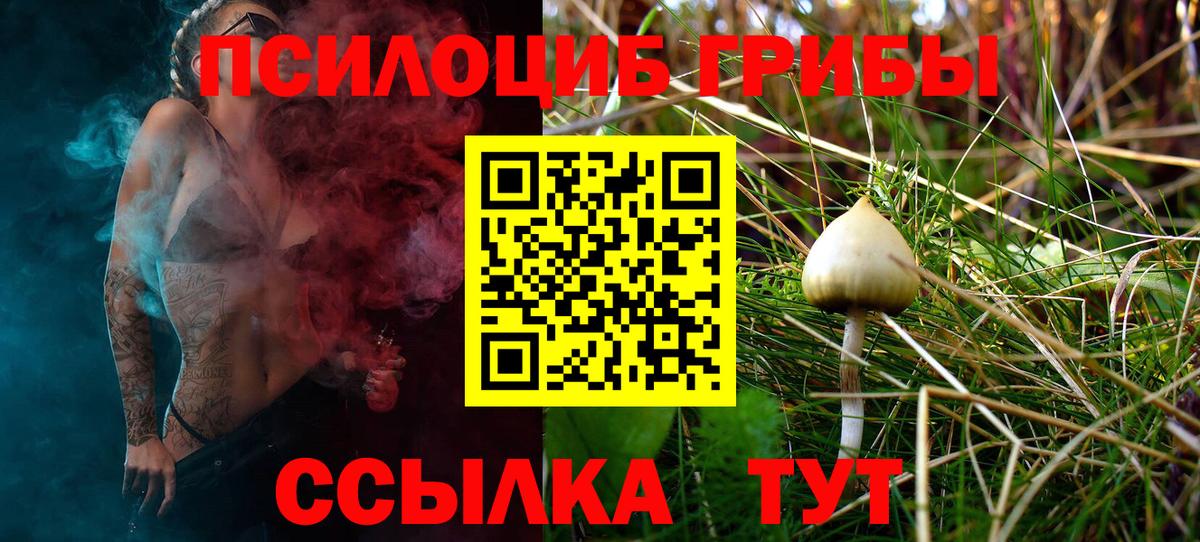 Стрежевой  Псилоцибиновые грибы Magic Shrooms  Вход с VPN 